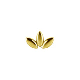 Nickel-Free Stainless Steel Fan Gold