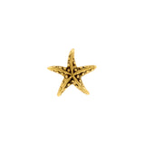 Nikkelvrij Stalen Zeester Goud