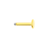 Surgical Steel Labret Stud Gold