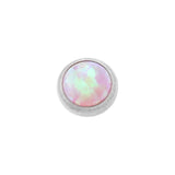 Titanium Cabochon Opal Disc Pink Opal