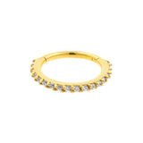 Surgical Steel Nose Ring With Zirkonia Gold