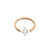 Surgical Steel Daith Clicker - Marquise Cluster Rose Gold
