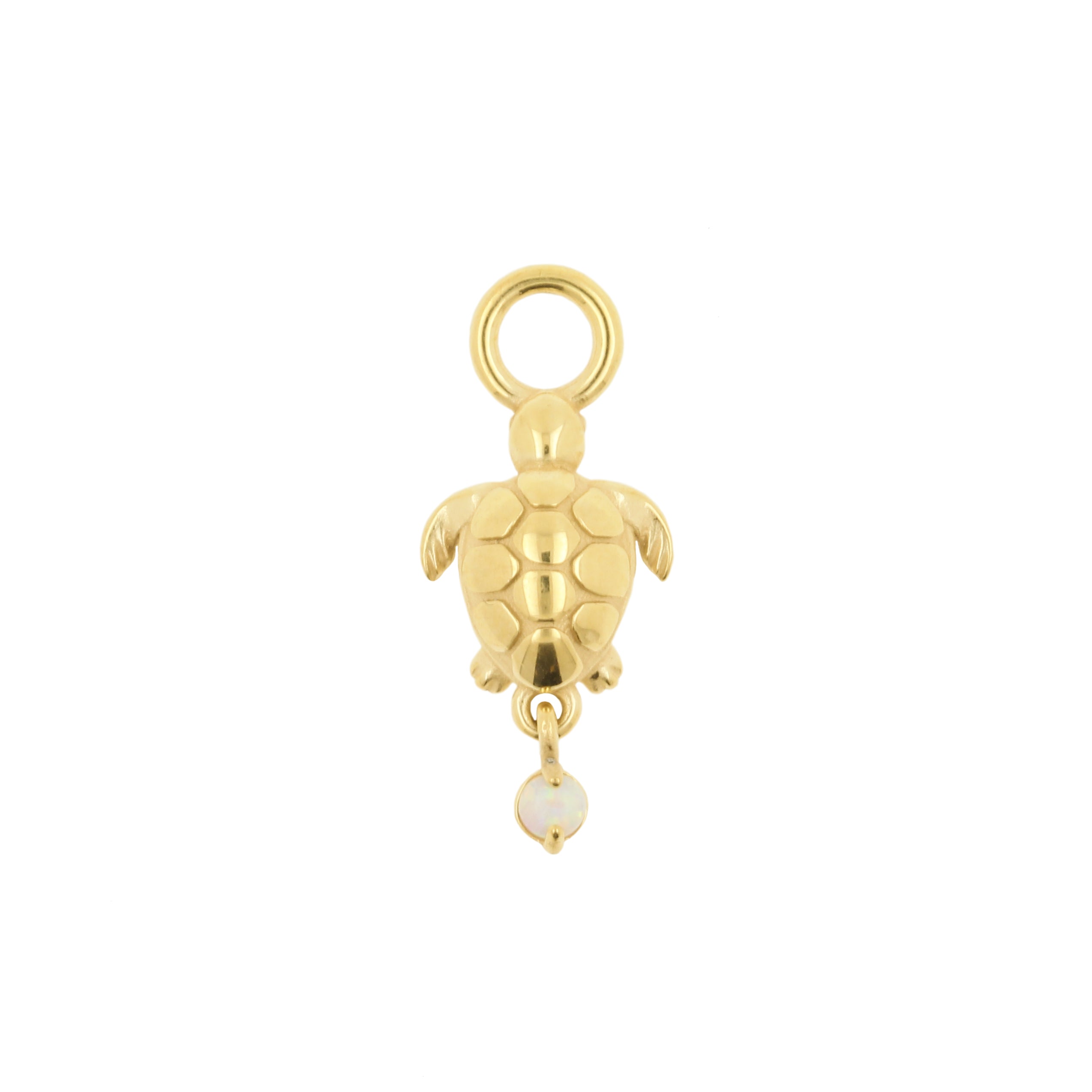 Nickel-Free Stainless Steel Charm - Turtle Gold