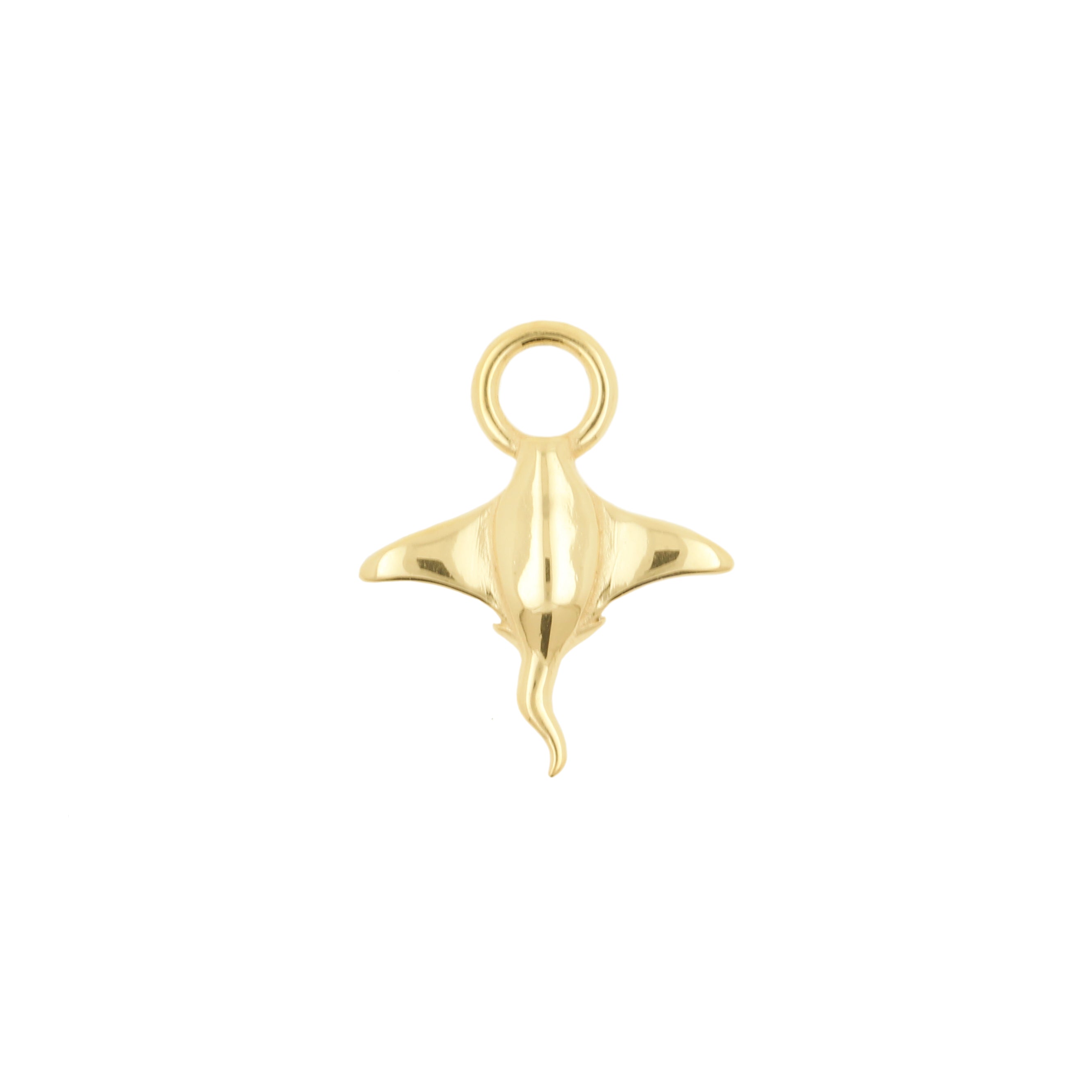 Nickel-Free Stainless Steel Charm - Ray Gold