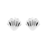 925 Silver Earstuds - Shell Silver