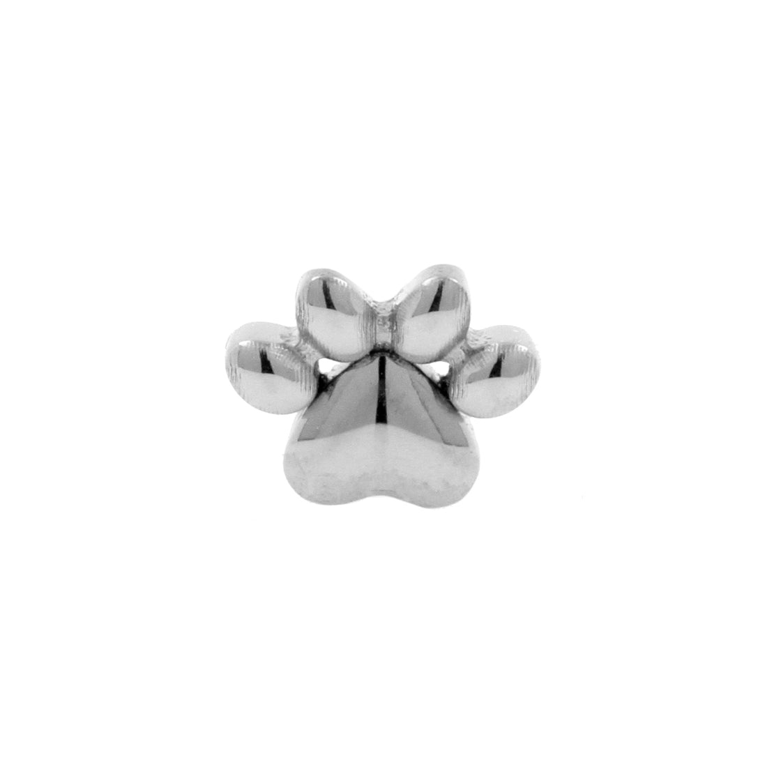 Titanium Paw Print Dog - Silver