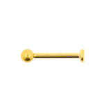 Titanium Labret Gold