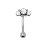 Titanium Zirconia Cluster Rook Piercing Clear