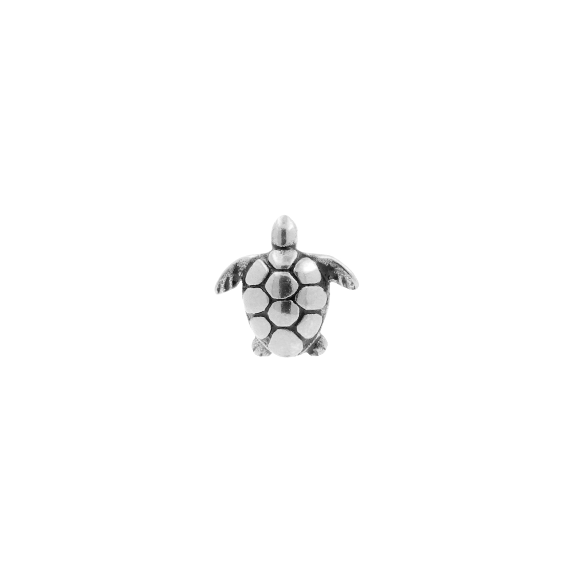 Surgical Steel Turtle Top - Silver
