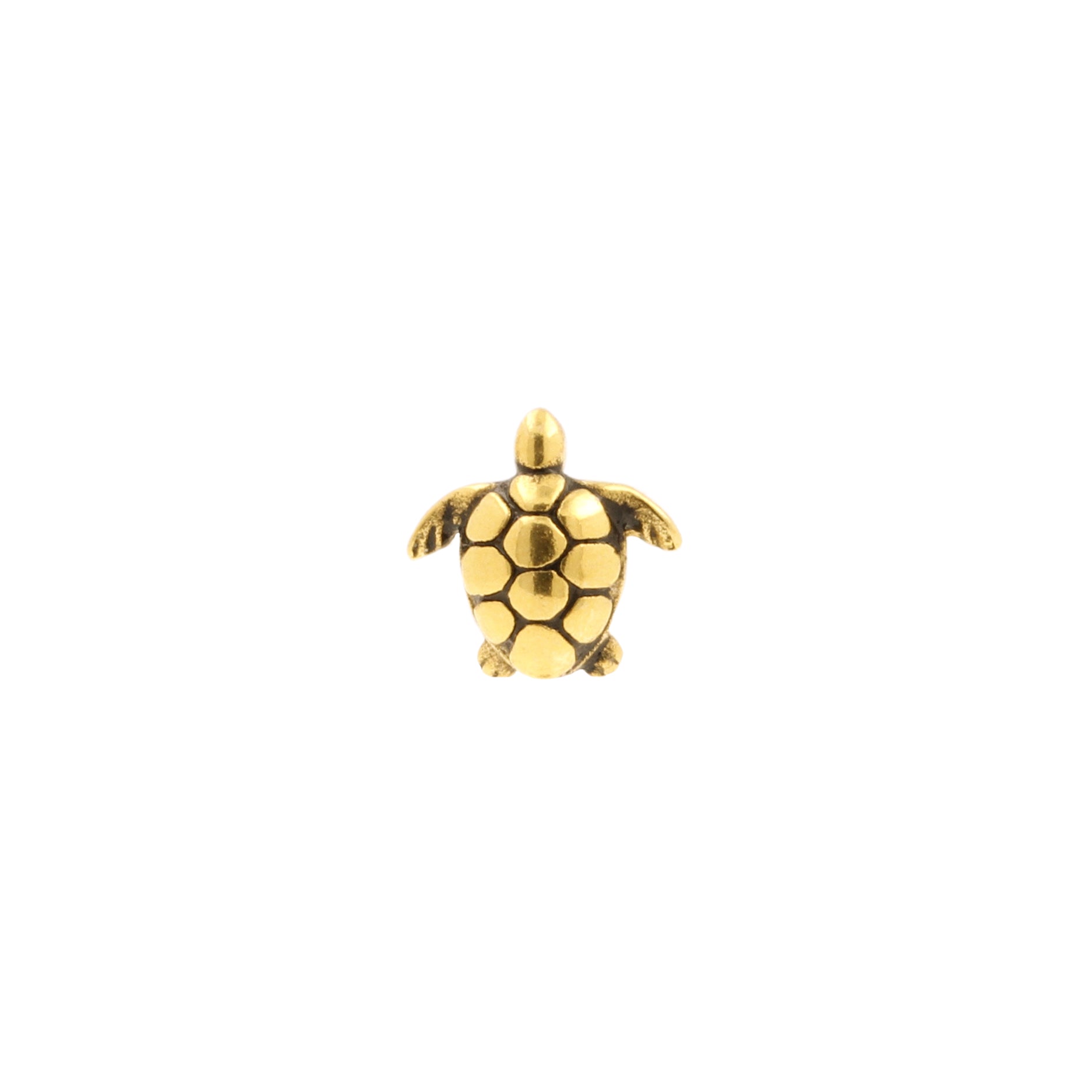 Surgical Steel Turtle Top - Gold