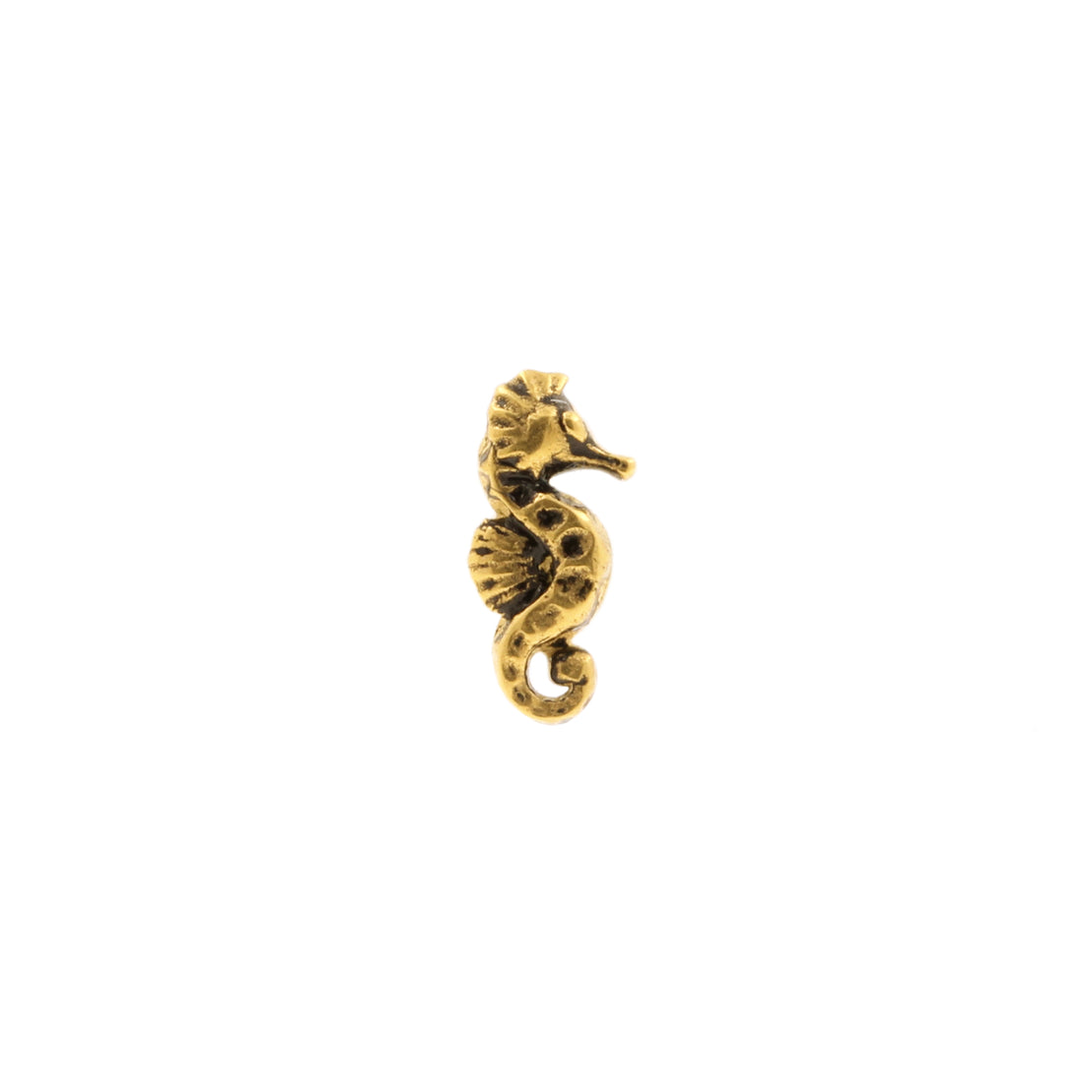 Surgical Steel Seahorse Top - Gold