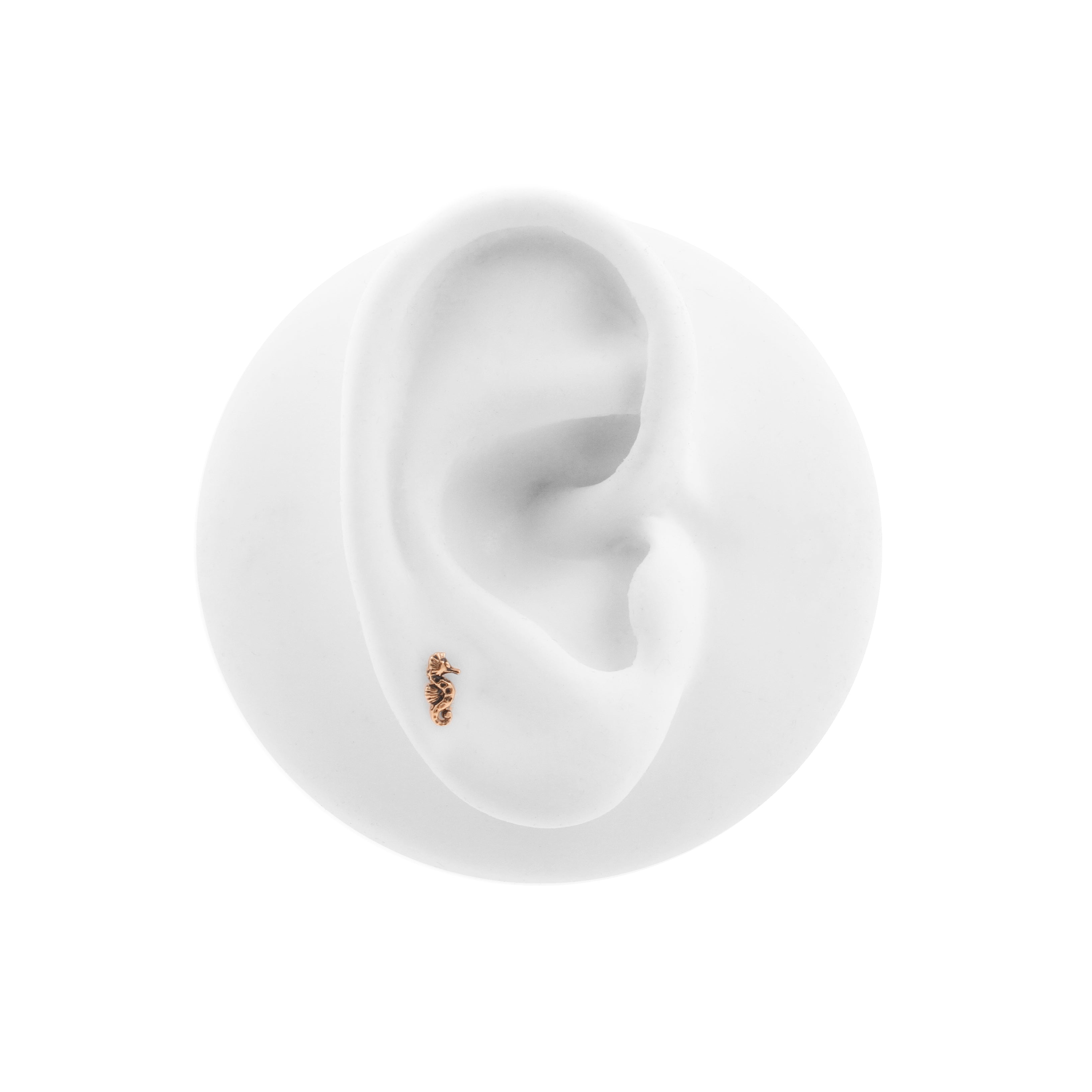 Surgical Steel Seahorse Top - Rose Gold