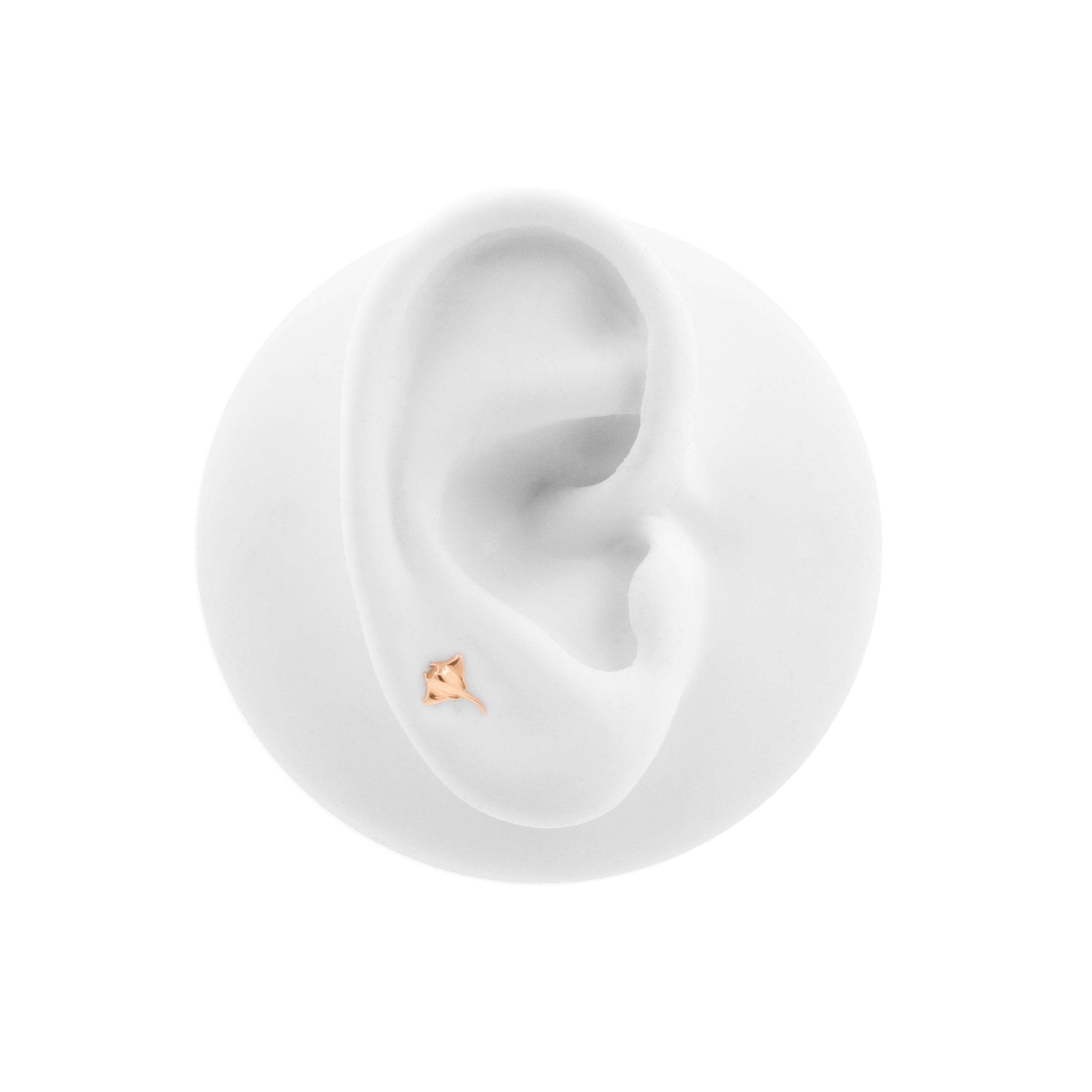 Surgical Steel Ray Top - Rose Gold