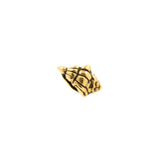 Surgical Steel Sea Shell Top - Gold