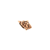 Surgical Steel Sea Shell Top - Rose Gold