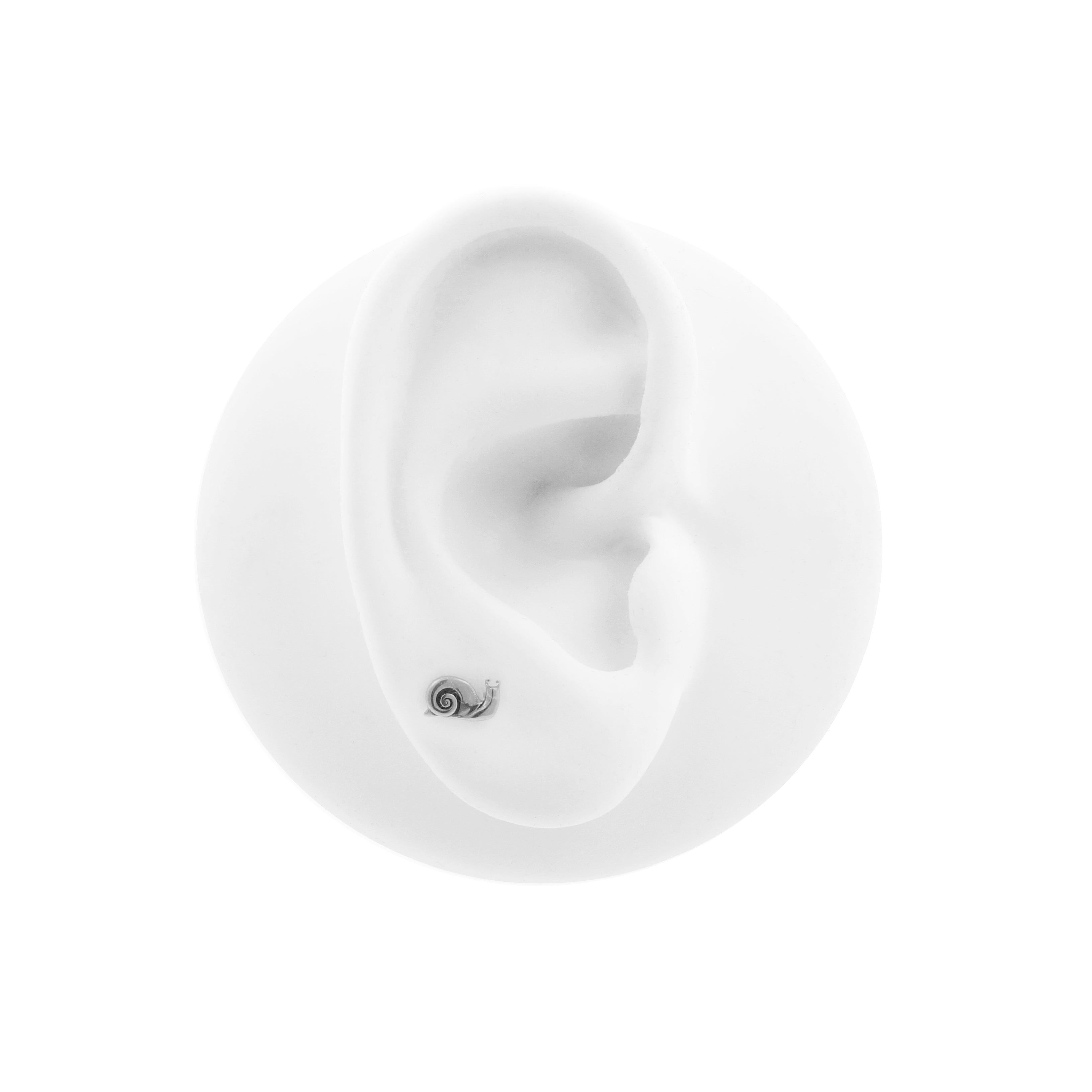 Surgical Steel Snail Top - Silver