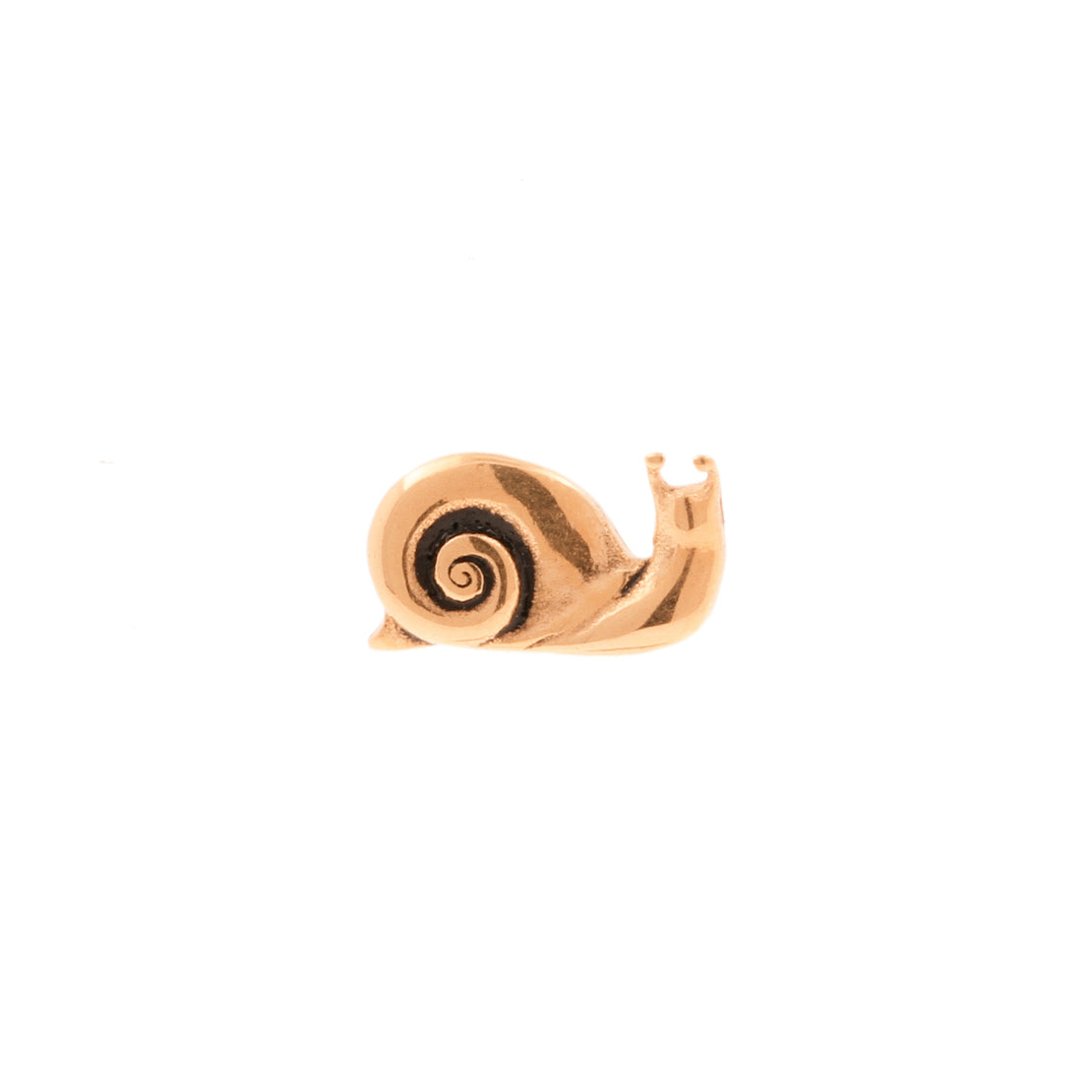 Surgical Steel Snail Top - Rose Gold