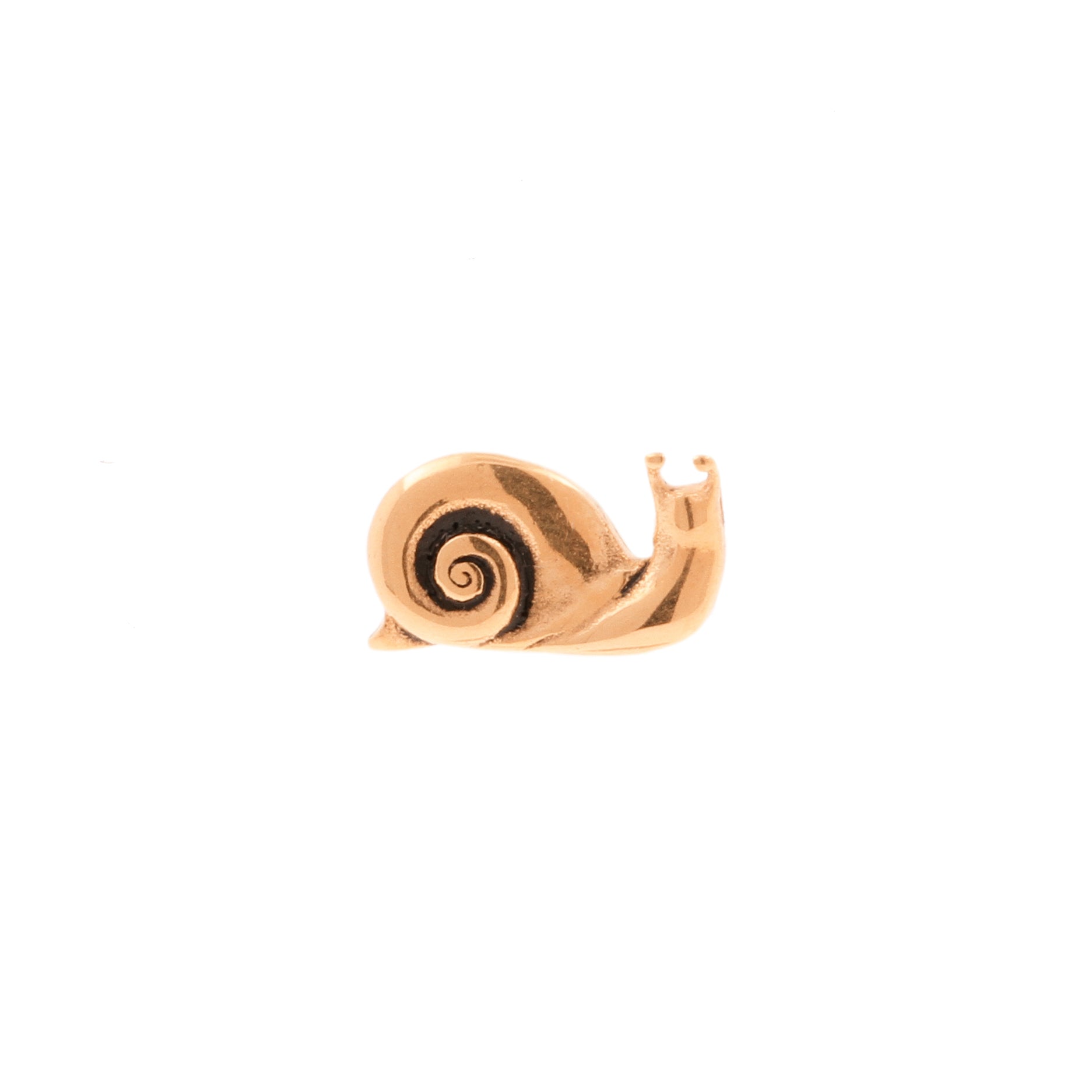 Surgical Steel Snail Top - Rose Gold