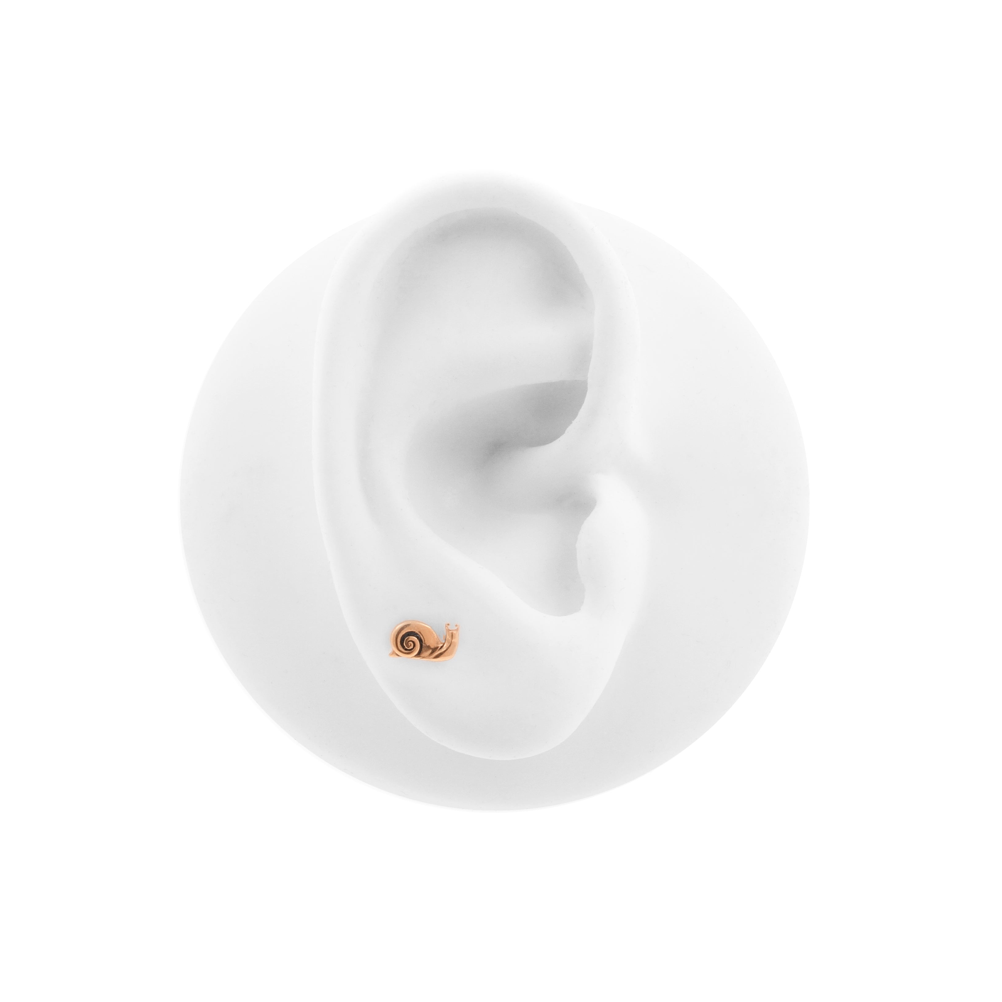 Surgical Steel Snail Top - Rose Gold