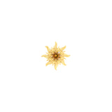 Surgical Steel Sun Top - Gold