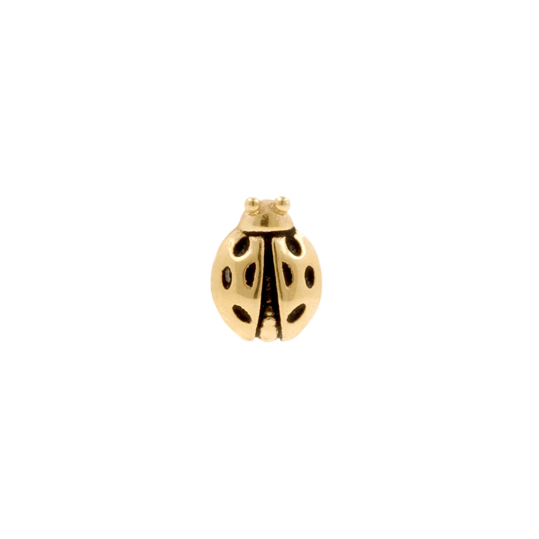Nickel-Free Stainless Steel Ladybug Gold