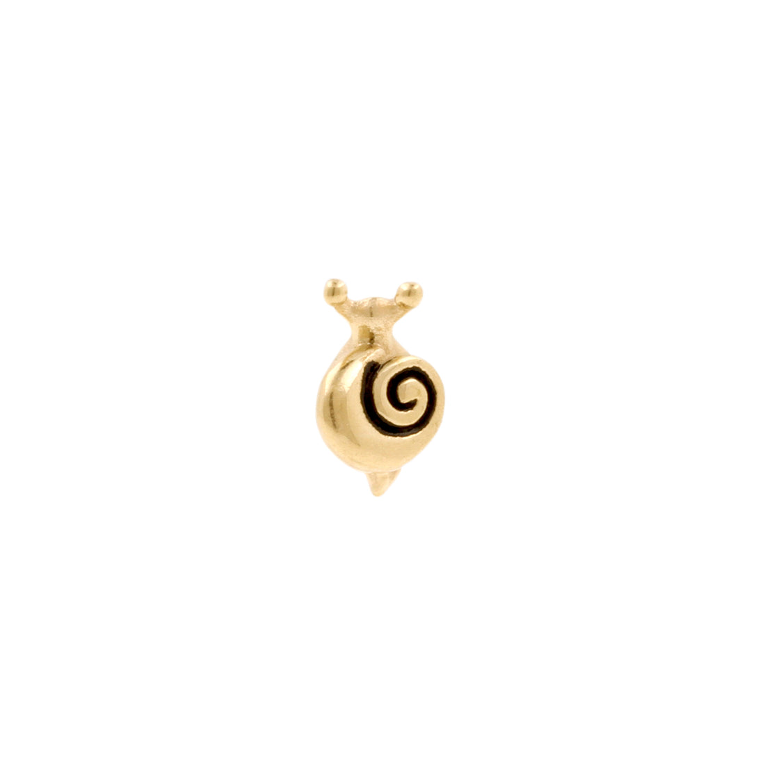 Nickel-Free Stainless Steel Snail Right Gold