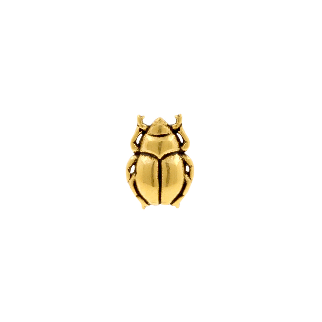 Nickel-Free Stainless Steel Beetle Gold