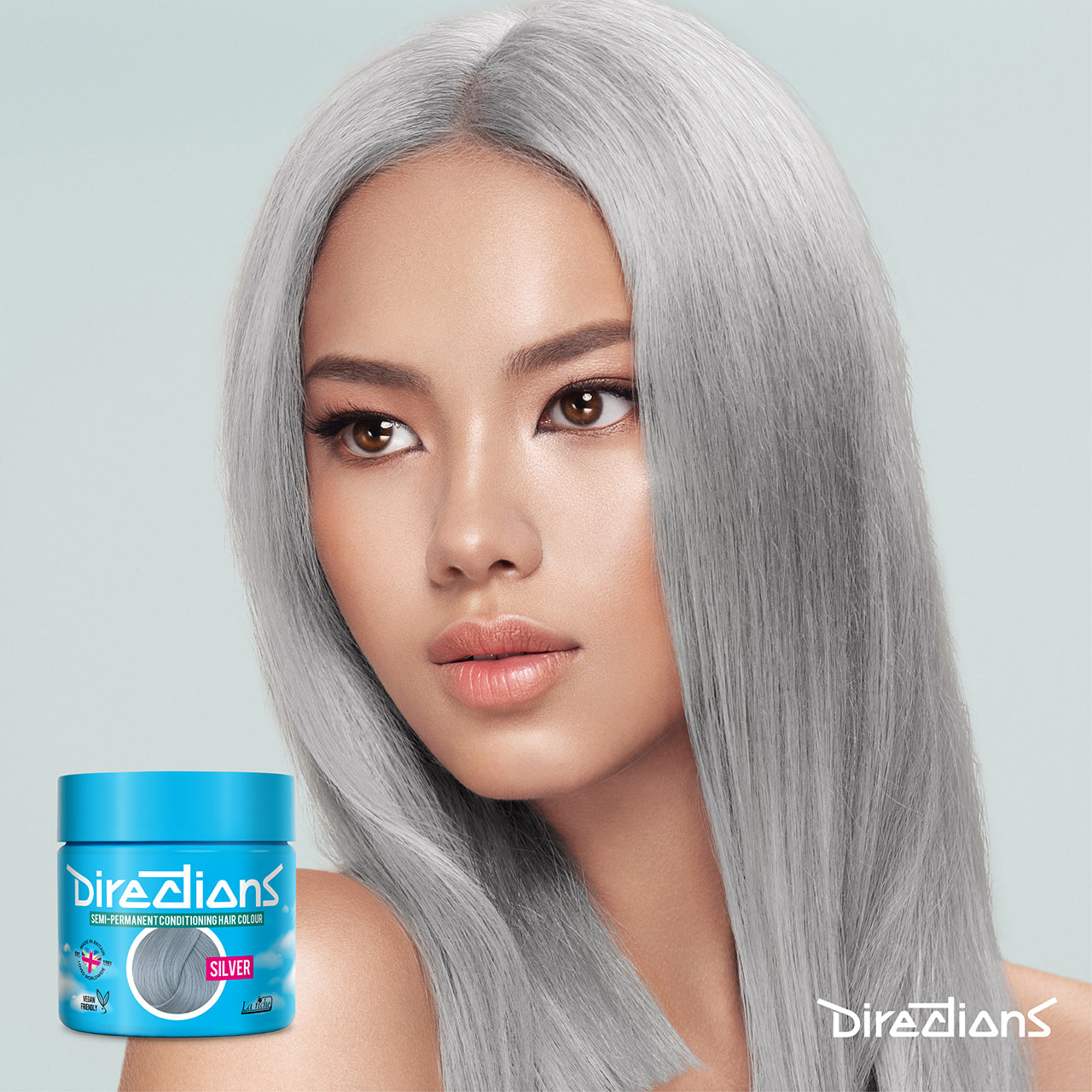 Directions Hair Dye - Silver