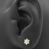 Gold And Zirconia Flower