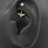 Rook Piercing With Gold Crown - Threadless